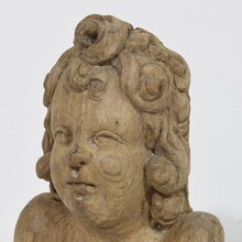 Baroque carved oak angel head on wings, France circa 1650-1700