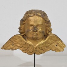 Baroque carved giltwood angel head on wings, Italy circa 1750
