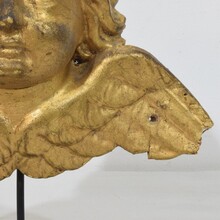 Baroque carved giltwood angel head on wings, Italy circa 1750
