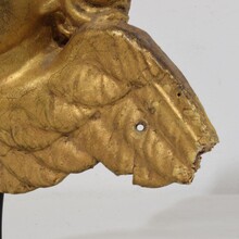 Baroque carved giltwood angel head on wings, Italy circa 1750