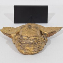 Baroque carved giltwood angel head on wings, Italy circa 1750