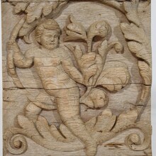 Carved oak panel depicting an angel on an acanthus curl, France circa 1750