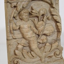 Carved oak panel depicting an angel on an acanthus curl, France circa 1750