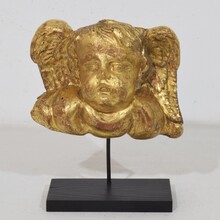 Baroque carved giltwood angel head on wings, Italy circa 1750