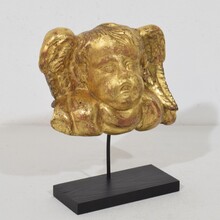 Baroque carved giltwood angel head on wings, Italy circa 1750