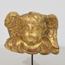 Baroque carved giltwood angel head on wings, Italy circa 1750