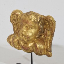 Baroque carved giltwood angel head on wings, Italy circa 1750