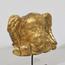 Baroque carved giltwood angel head on wings, Italy circa 1750