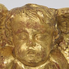 Baroque carved giltwood angel head on wings, Italy circa 1750