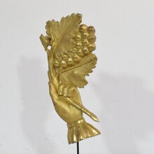 Giltwood hand holding a branch of grapes, Italy circa 1750