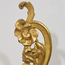 Hand carved giltwood curl ornament, Italy circa 1750