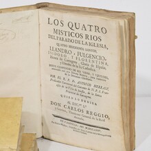 Amazing collection of weathered vellum books