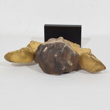 Hand carved baroque winged angel head, France circa 1750