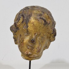 Carved giltwood baroque angel head, Italy circa 1650-1750
