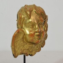 Pair giltwood baroque winged angel heads, Italy circa 1750