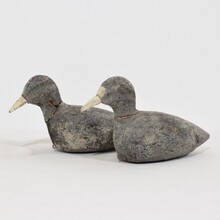 Pair decoys/ cork coots, France circa 1880