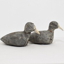 Pair decoys/ cork coots, France circa 1880