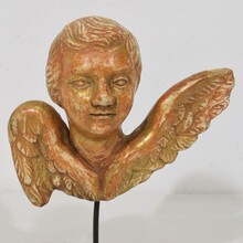 Small baroque carved giltwood angel head on wings, France circa 1750