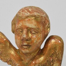Small baroque carved giltwood angelhead on wings, France circa 1750