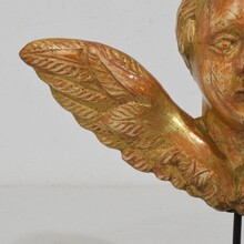 Small baroque carved giltwood angelhead on wings, France circa 1750