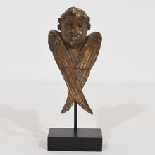 Small carved wood winged angel head, France circa 1800-1850