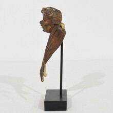 Small carved wood winged angel head, France circa 1800-1850