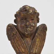 Small carved wood winged angel head, France circa 1800-1850